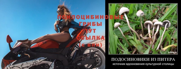трава Балабаново